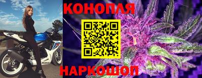 стафф Севастополь