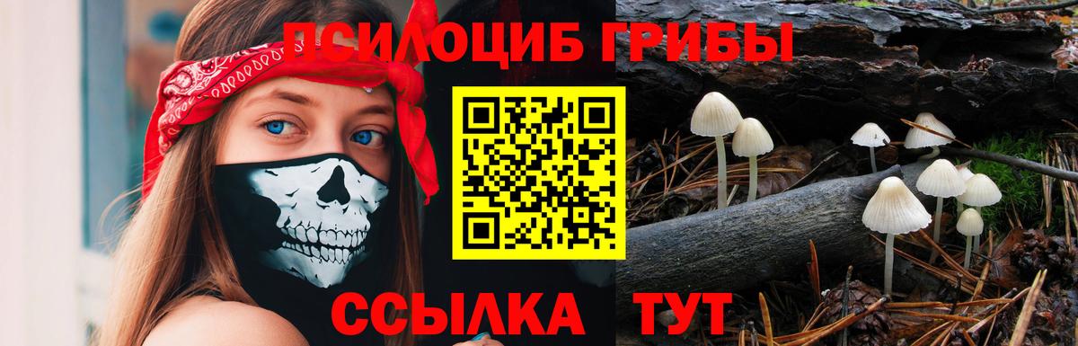 Петропавловск-Камчатский  Псилоцибиновые грибы Psilocybe  Вход с VPN 